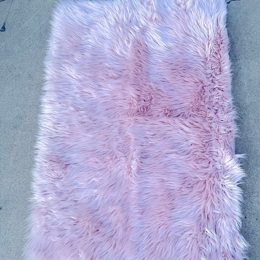 Area Rug From HomeGoods - Picture 2 of 6